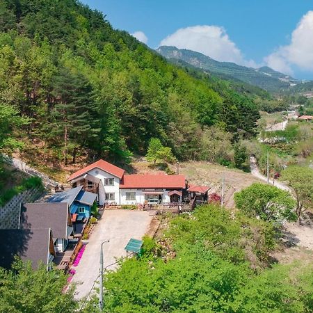 Samcheok Deulre Pension Bagian luar foto